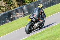 Oulton-Park-20th-March-2020;PJ-Motorsport-Photography-2020;anglesey;brands-hatch;cadwell-park;croft;donington-park;enduro-digital-images;event-digital-images;eventdigitalimages;mallory;no-limits;oulton-park;peter-wileman-photography;racing-digital-images;silverstone;snetterton;trackday-digital-images;trackday-photos;vmcc-banbury-run;welsh-2-day-enduro